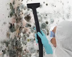 Why You Should Choose Our Mold Remediation Services in De Soto, IA